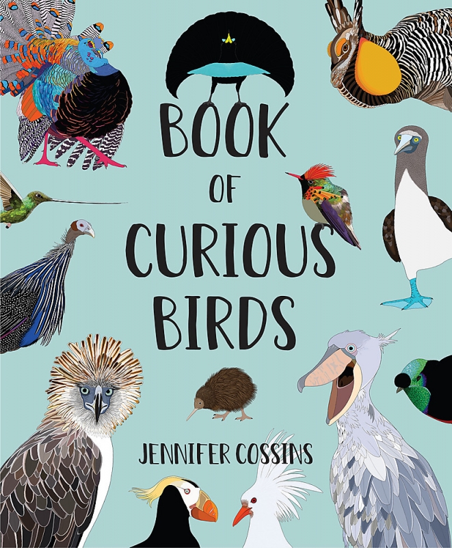 Book cover image - Book of Curious Birds