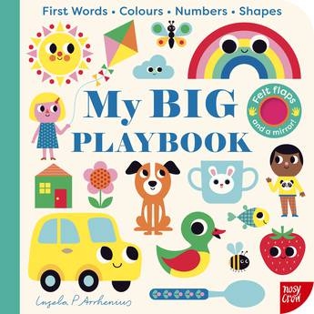 Book cover image - My BIG Playbook