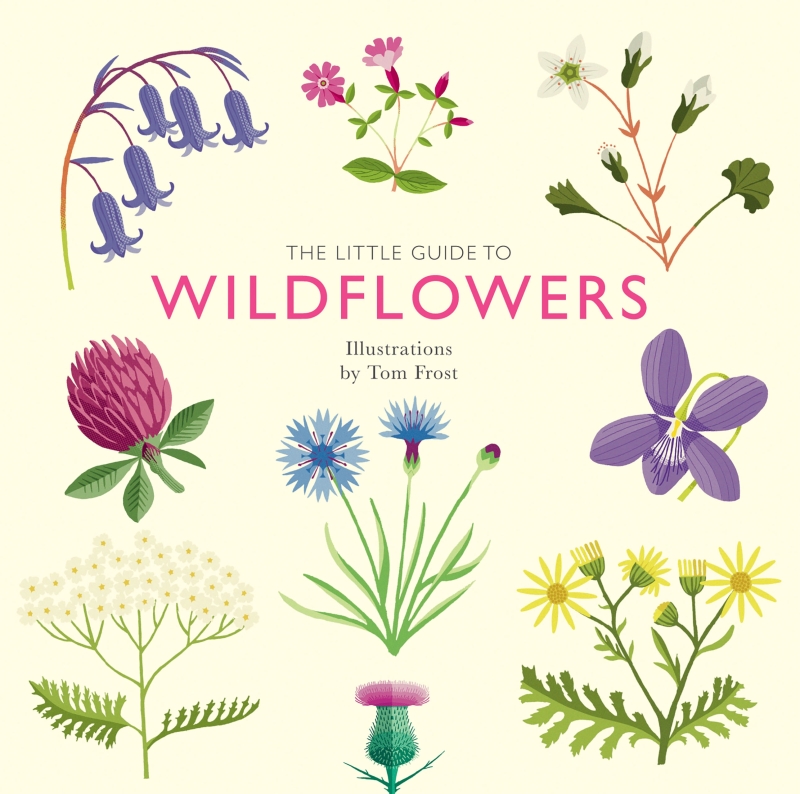 Book cover image - The Little Guide to Wildflowers