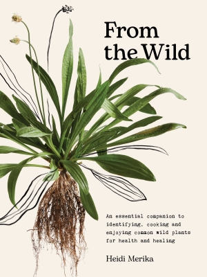 Book cover image - From the Wild: An Essential Companion to Identifying, Cooking and Enjoying Common Wild Plants for Health and Healing 