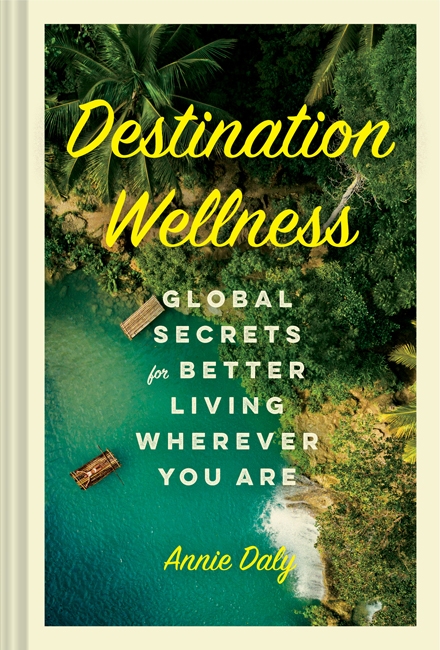 Book cover image - Destination Wellness