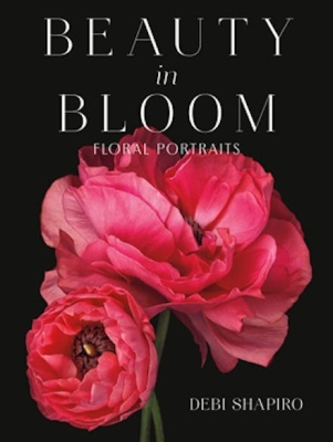 Book cover image - Beauty in Bloom