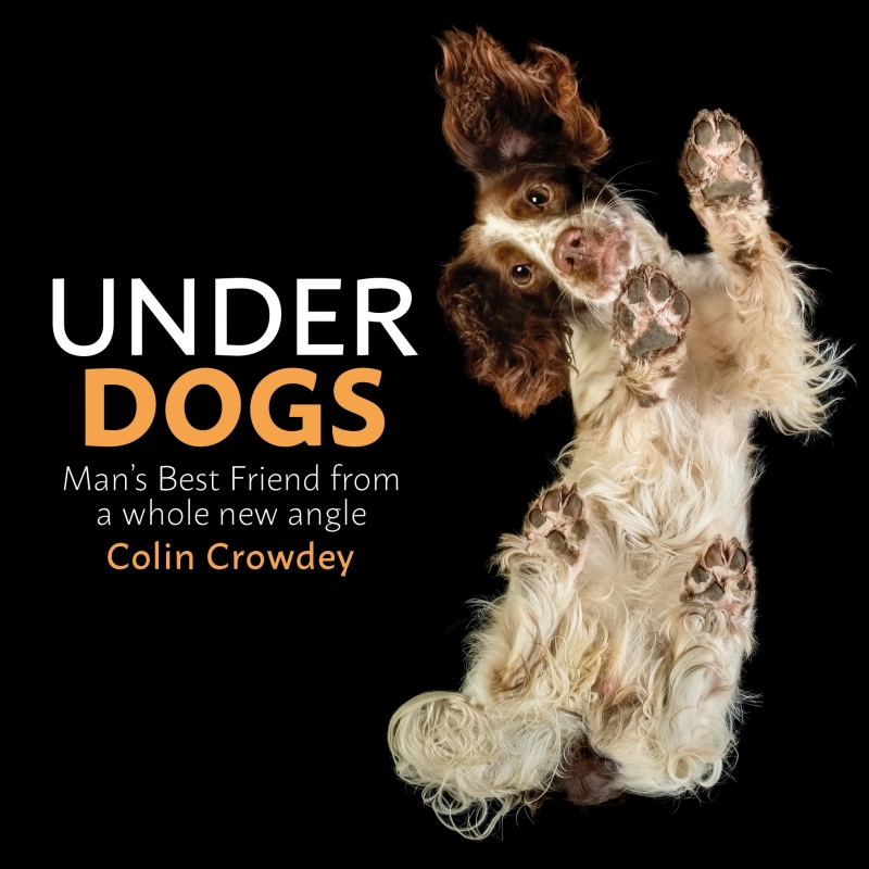 Book cover image - Underdogs