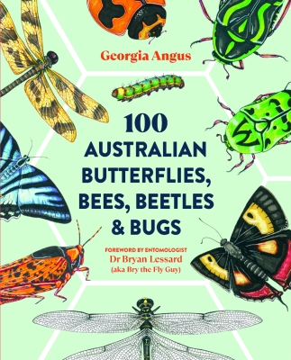 Book cover image - 100 Australian Butterflies, Bees, Beetles & Bugs