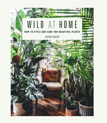 Book cover image - Wild at Home