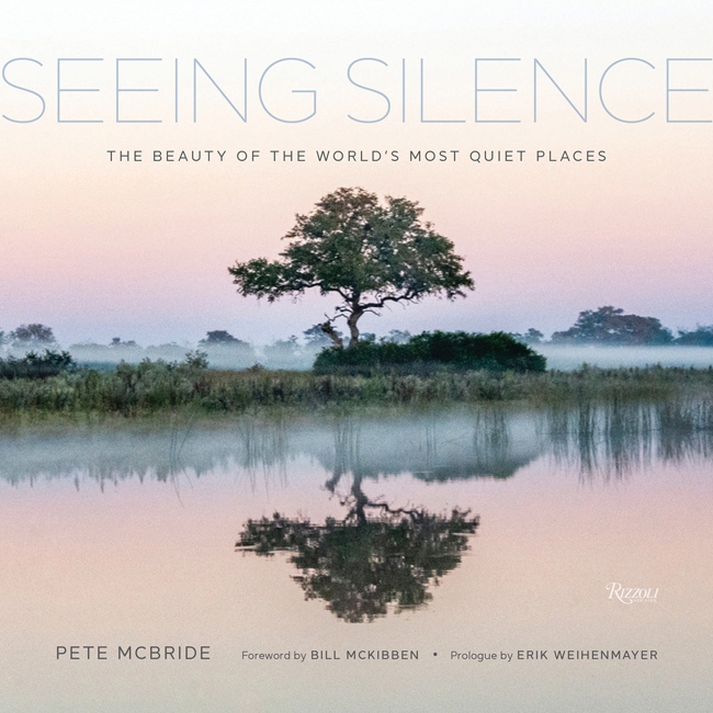 Book cover image - Seeing Silence