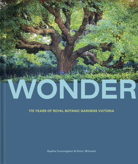 Book cover image - Wonder