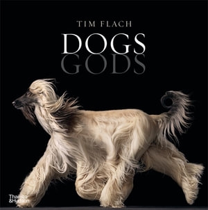 Book cover image - Dogs Gods
