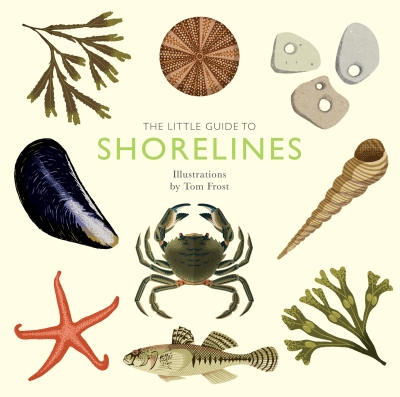 Book cover image - The Little Guide to Shorelines