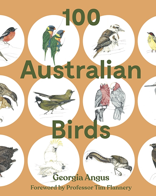 Book cover image - 100 Australian Birds