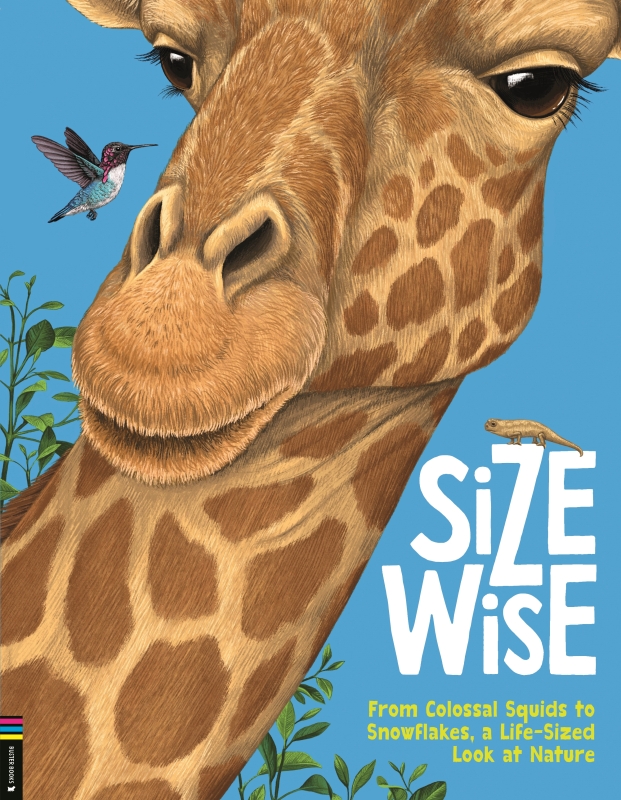 Book cover image - Size Wise