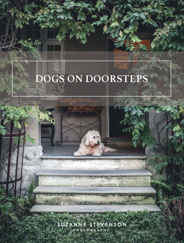 Book cover image - Dogs on Doorsteps