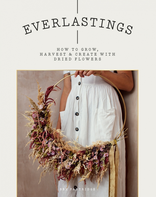 Book cover image - Everlastings