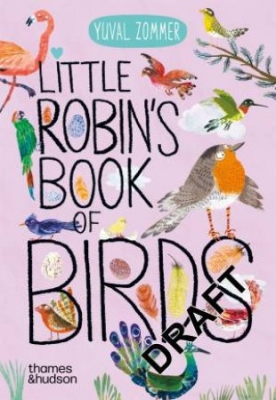 Book cover image - Little Robin’s Book of Birds