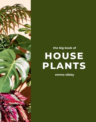 Book cover image - The Big Book of House Plants