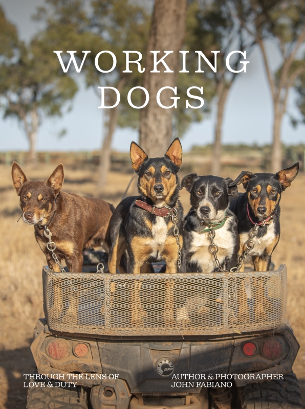 Book cover image - Working Dogs