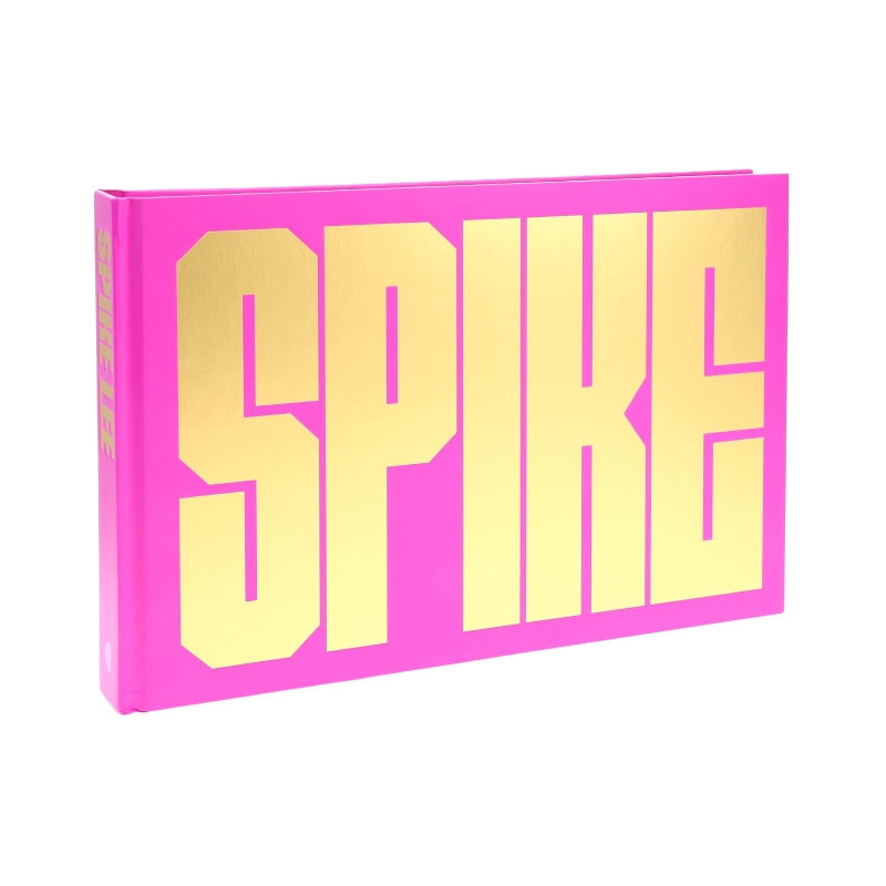 Book cover image - SPIKE