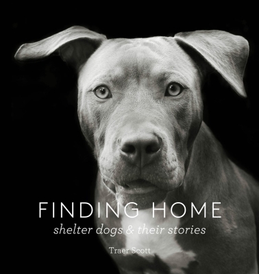 Book cover image - Finding Home
