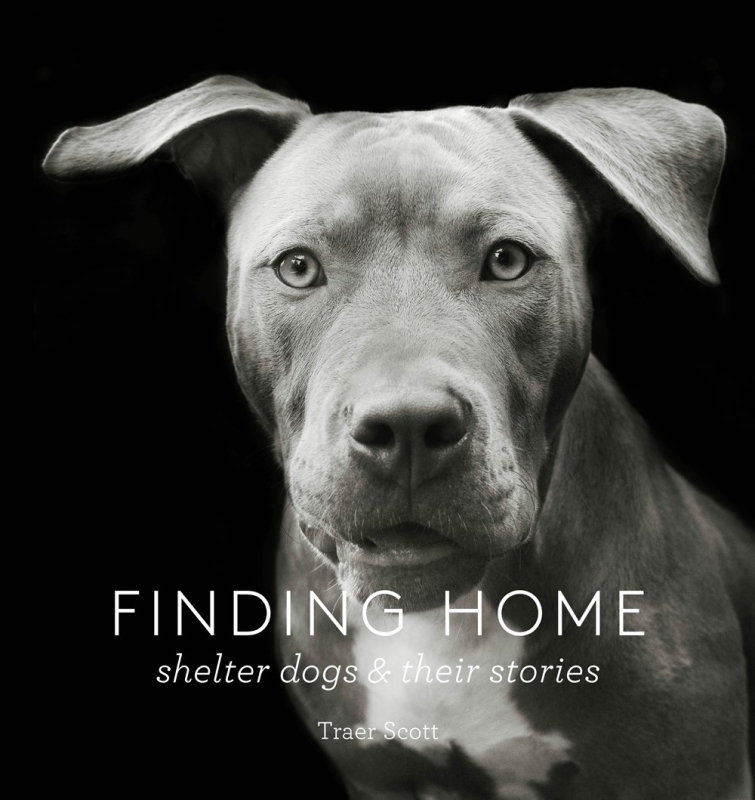 Book cover image - Finding Home