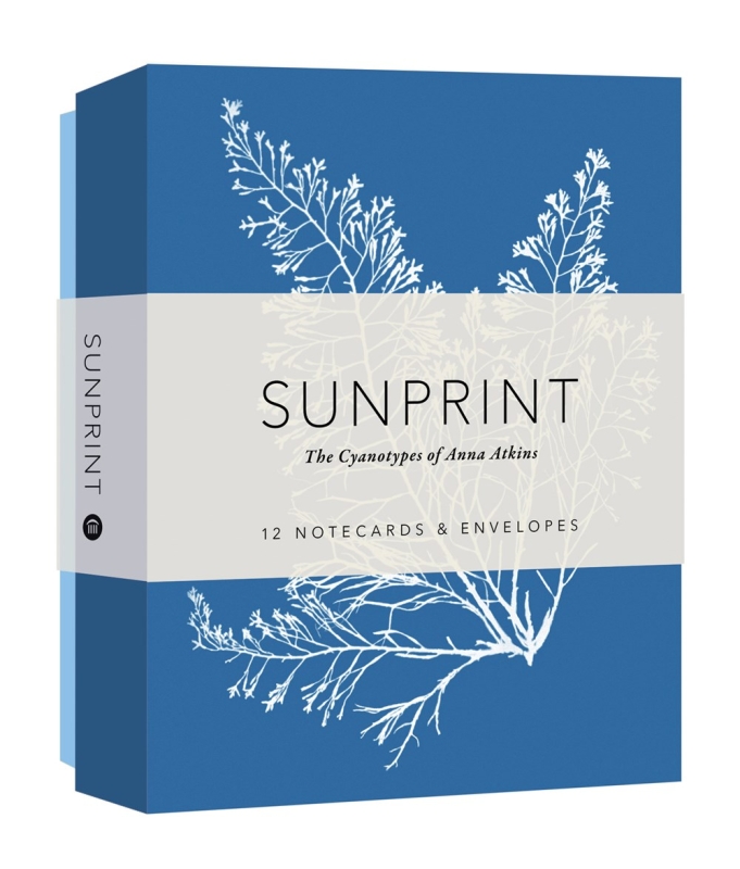Book cover image - Sunprint Notecards: The Cyanotypes of Anna Atkins  (12 notecards; 12 designs; matching envelopes; keepsake box)