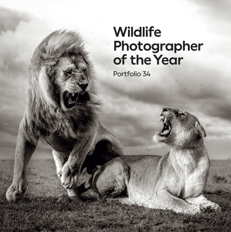 Book cover image - Wildlife Photographer of the Year: Portfolio 34