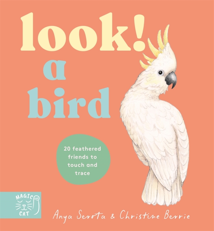 Book cover image - Look! A Bird!