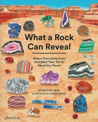 Book cover image - What a Rock Can Reveal