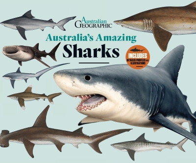 Book cover image - Australia’s Amazing Sharks                                  