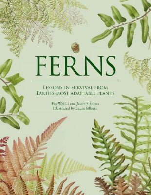 Book cover image - Ferns