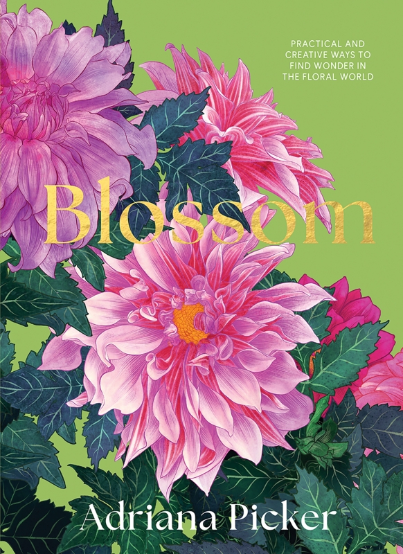 Book cover image - Blossom