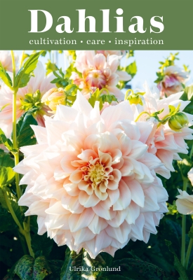 Book cover image - Dahlias