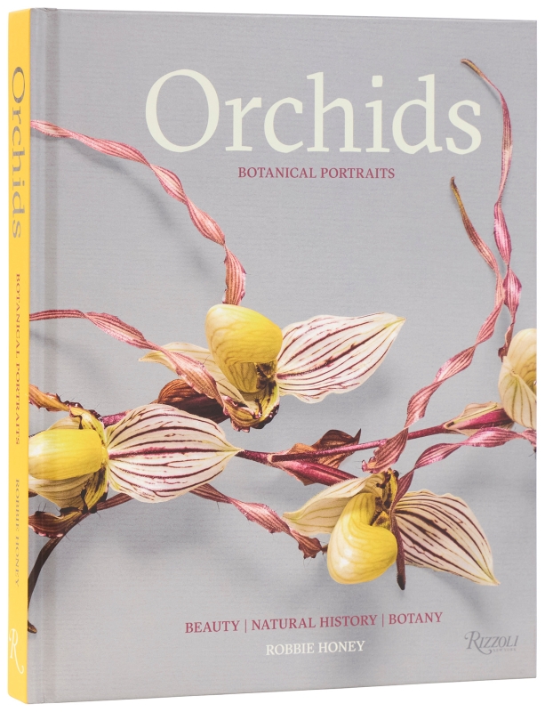 Book cover image - Orchids: Botanical Portraits