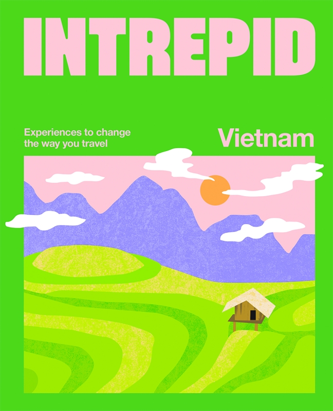 Book cover image - Intrepid Vietnam