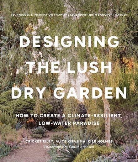Book cover image - Designing the Lush Dry Garden