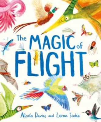 Book cover image - The Magic of Flight