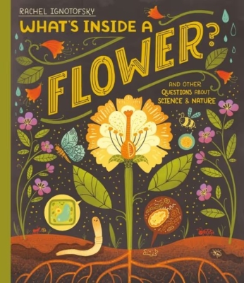 Book cover image - What’s Inside a Flower?