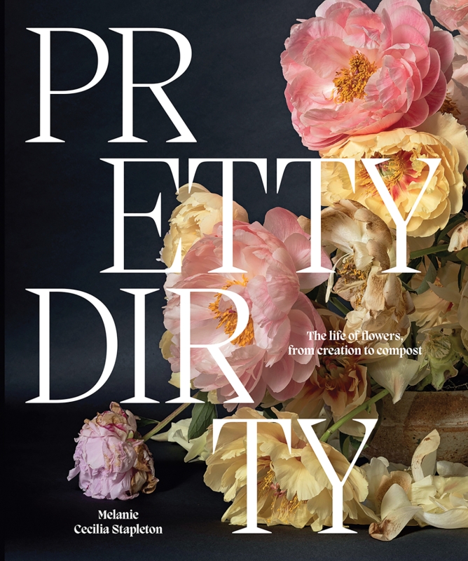 Book cover image - Pretty Dirty