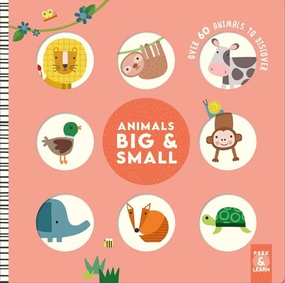 Book cover image - Animals Big & Small                                         