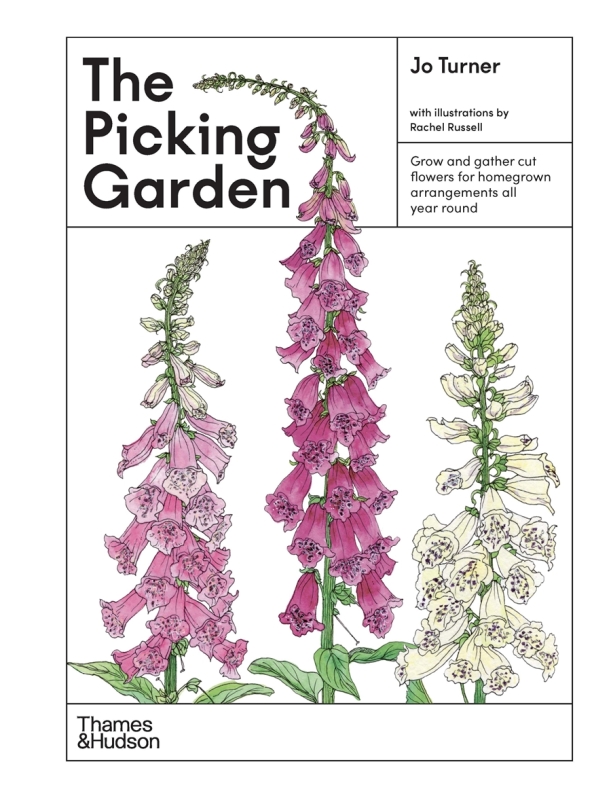 Book cover image - The Picking Garden