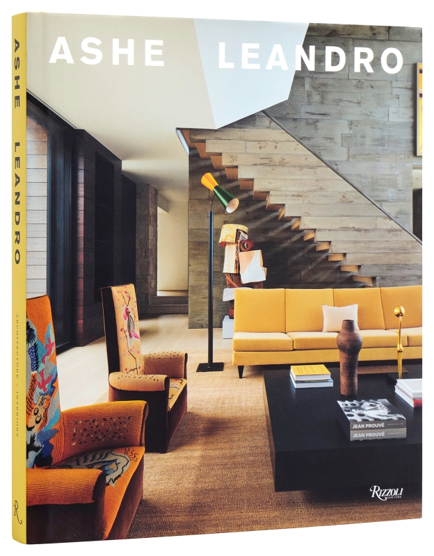Book cover image - Ashe Leandro