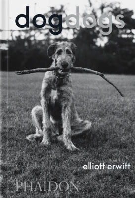 Book cover image - DogDogs