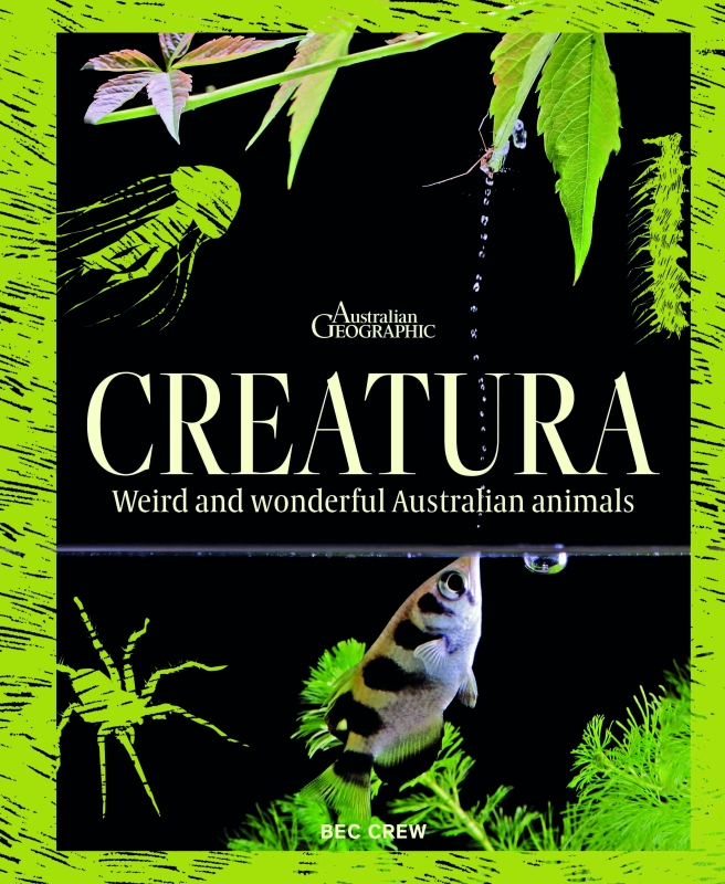 Book cover image - Creatura