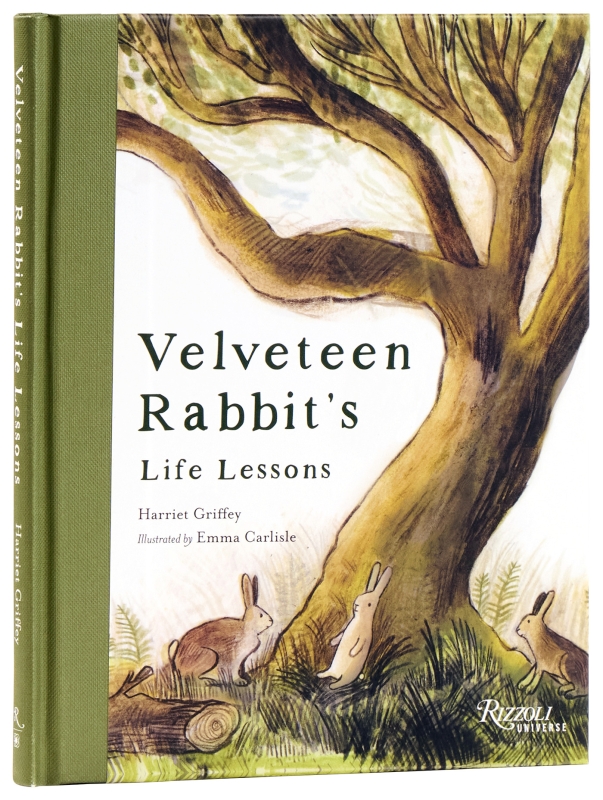 Book cover image - Velveteen Rabbit’s Life Lessons