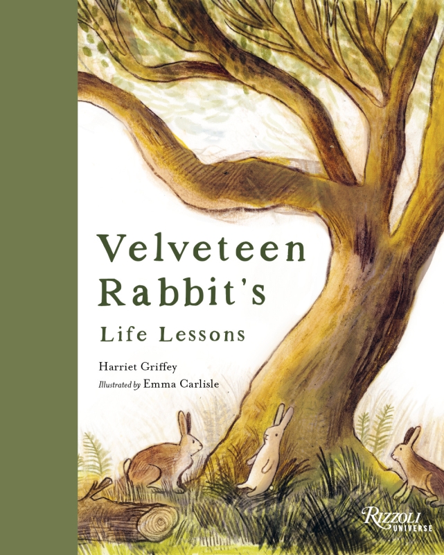 Book cover image - Velveteen Rabbit’s Life Lessons