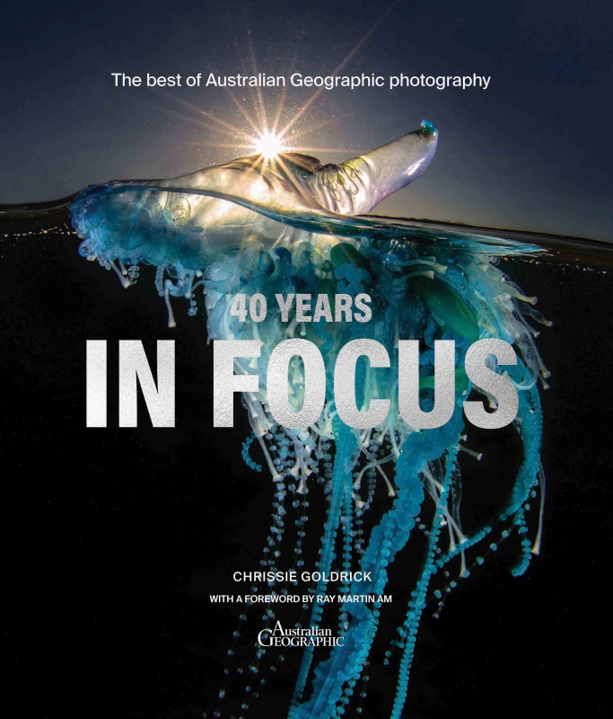 Book cover image - 40 Years in Focus